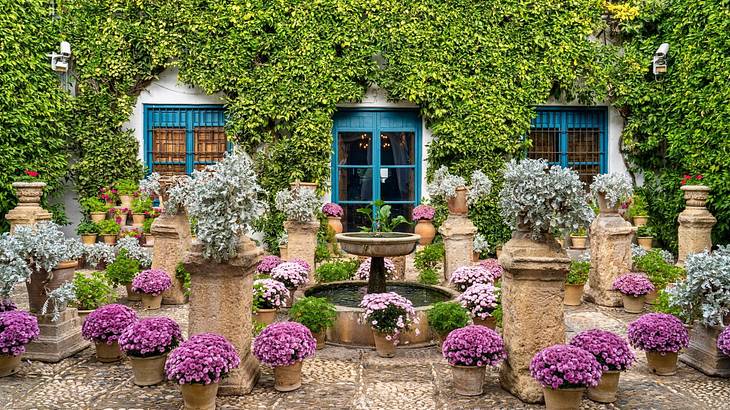 A courtyard with purple flowers and a fountain next to a house covered in greenery