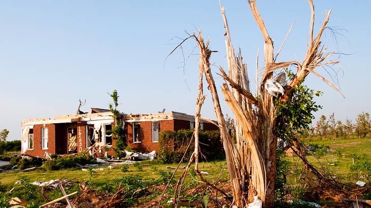 A large, damaged house, surrounded by damaged plants and trees