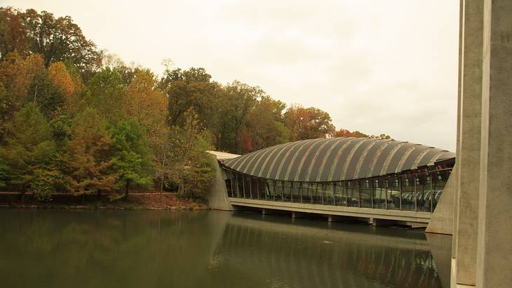 A pond in front of a modern structure made of glass and metal with autumn trees