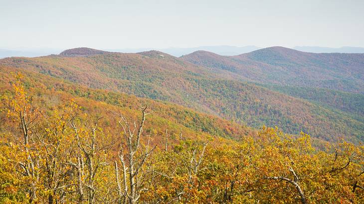 Mountains covered with autumn foliage in shades of green, orange, and yellow