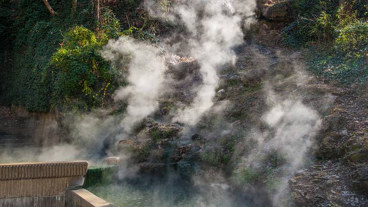 Steam rising up from a hot spring below a rocky cliff with plants