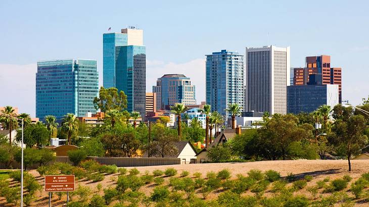 A city skyline with trees in front of it on a clear day A city skyline with trees in front of it on a clear day