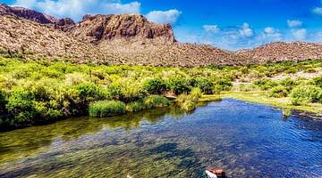 One of many fun things to do in Chandler, AZ, is going to Tonto National Forest
