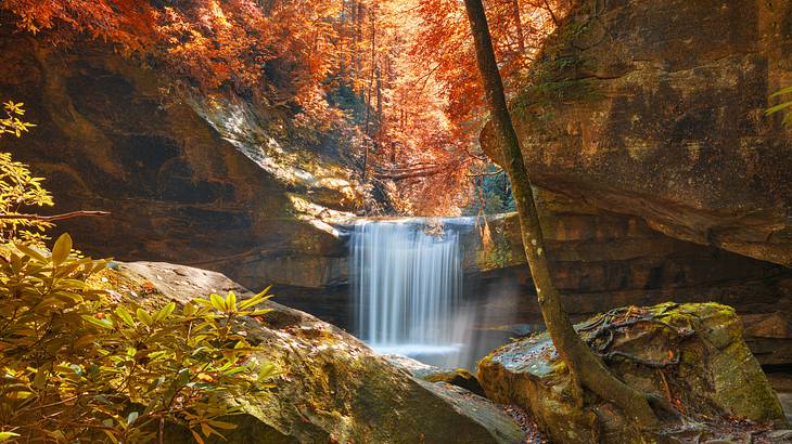 A waterfall going down a rocky cliff surrounded by trees and plants in autumn A waterfall going down a rocky cliff surrounded by trees and plants in autumn