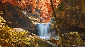 A waterfall going down a rocky cliff surrounded by trees and plants in autumn