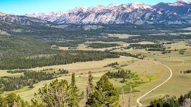 A dirt road leading into a wooded valley with mountains in the background A dirt road leading into a wooded valley with mountains in the background