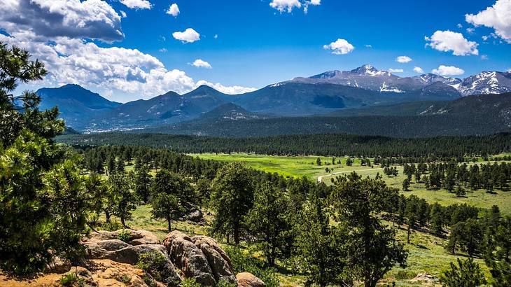 A panorama of mountain peaks overlooking a field with green trees and grass