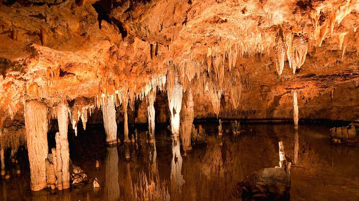 Inside a cave with stalactites on its roof and reflective water below