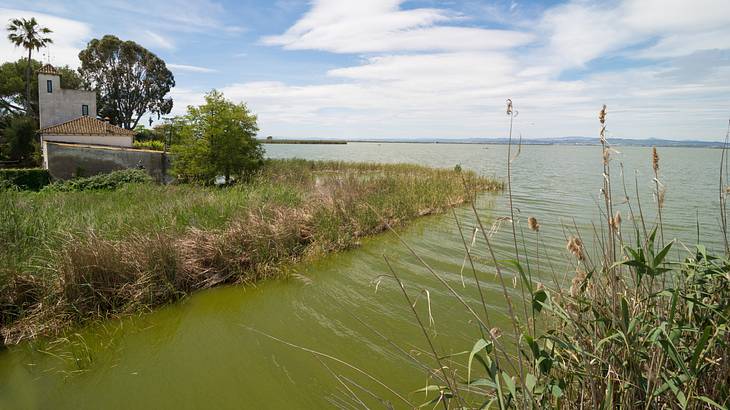 Green grass in front of a calm lagoon and blue skies