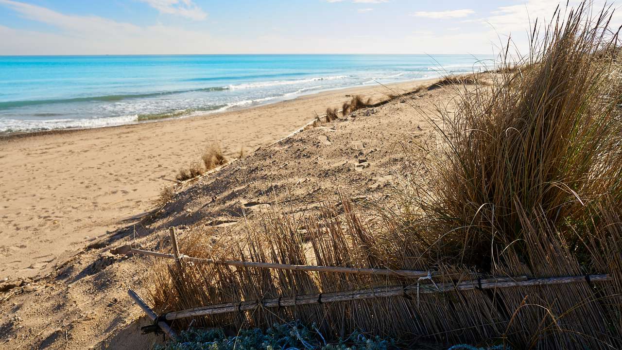 Waves breaking on a quiet beach with long grass in the foreground