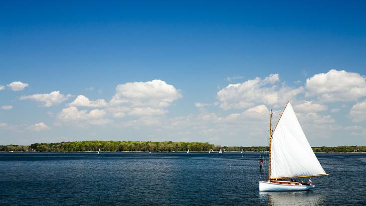 A white sailboat on the water with green trees in the distance under a blue sky