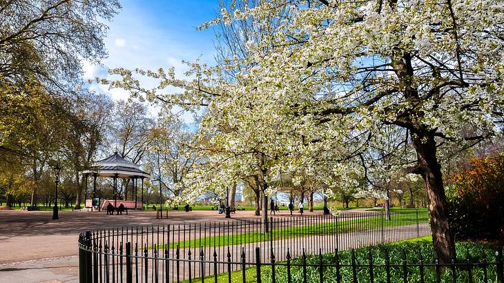 Spring in Hyde Park London