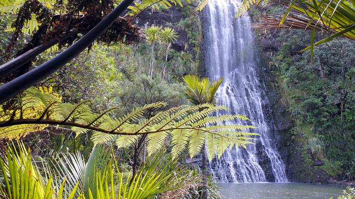 Waterfall, Karekare Falls, New Zealand