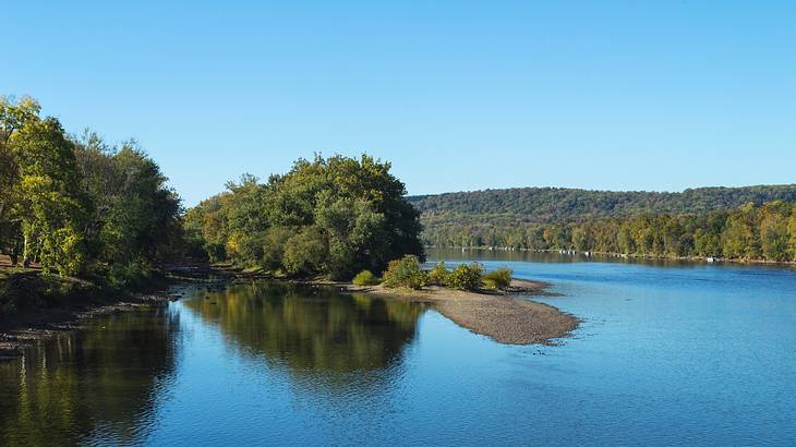 A river and many green trees under a clear blue sky