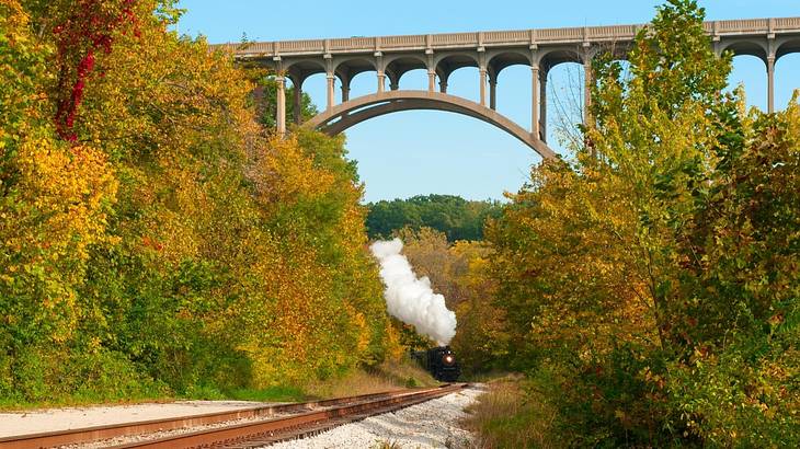 A steam train on a track under a bridge and surrounded by autumn trees