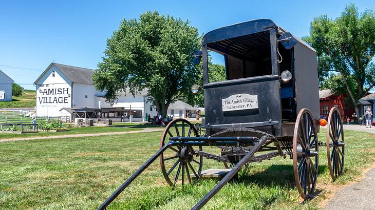 Trees and a white house that says Amish Village behind a black buggy Trees and a white house that says Amish Village behind a black buggy