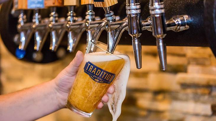 A person pouring a beer from a tap into a glass that says "Tradition Brewing"