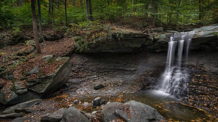 A small waterfall in the middle of a forest A small waterfall in the middle of a forest