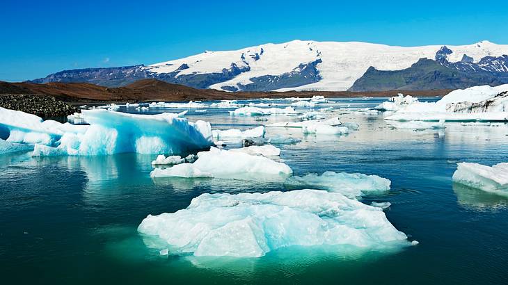 A glacial lake with small floating icebergs next to a snow-covered mountain