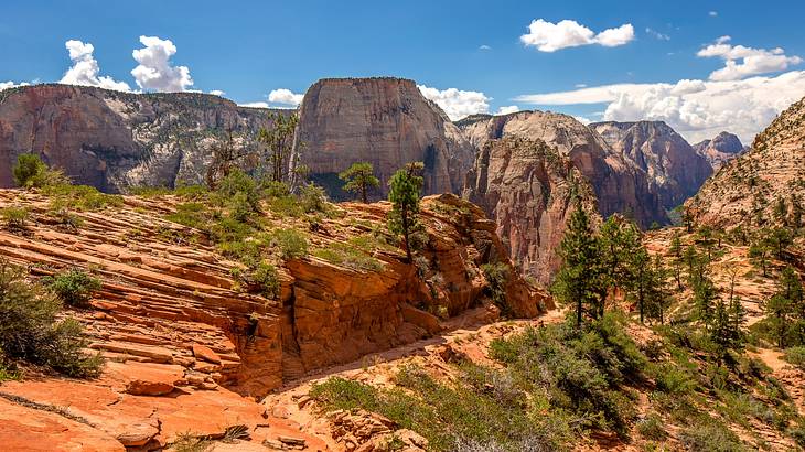 Red rock mountains with some trees on them under a blue sky with clouds Red rock mountains with some trees on them under a blue sky with clouds
