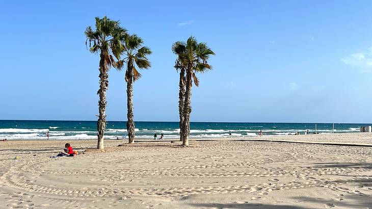 A group of four palm trees on a sandy beach, during a clear blue day