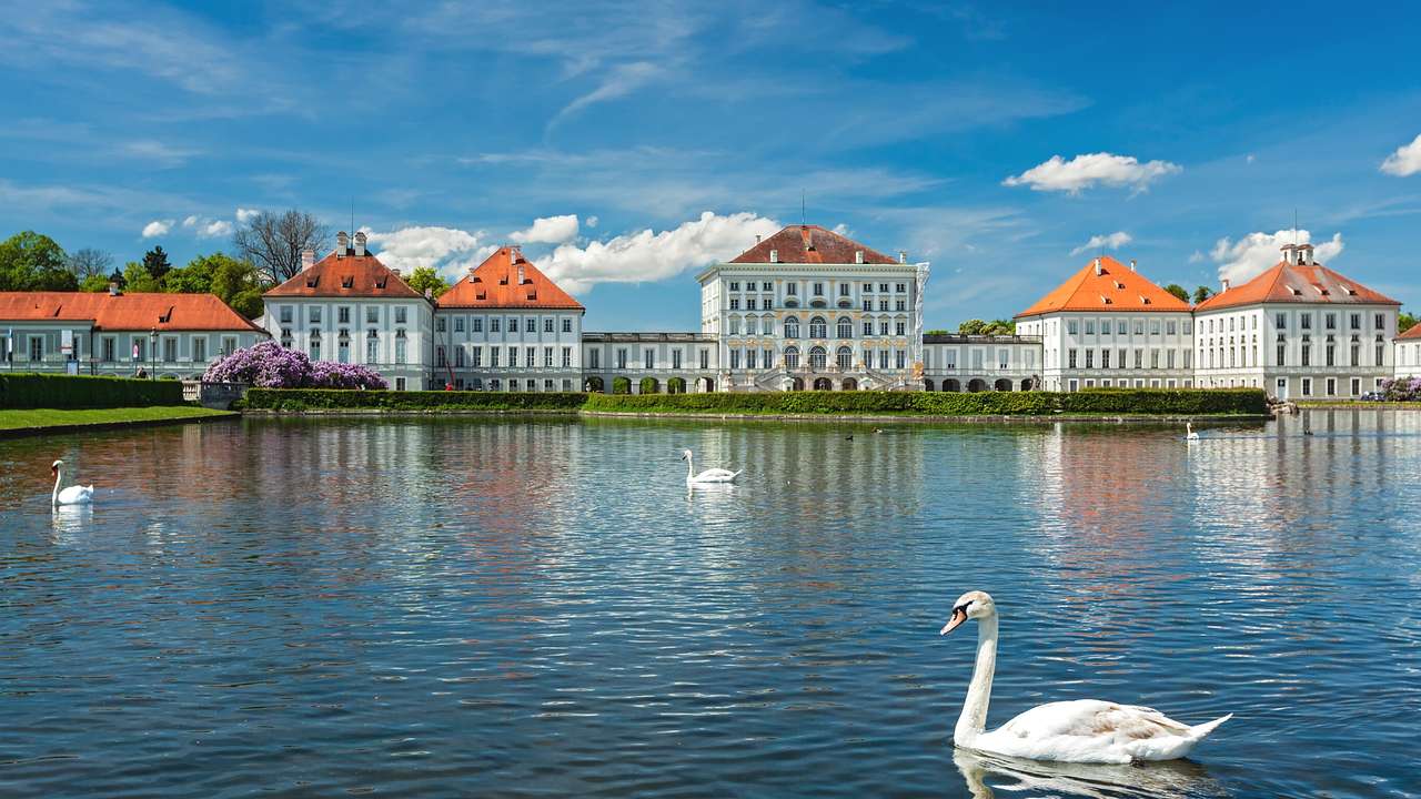 A pond with swans on it next to regal white buildings with orange roofs