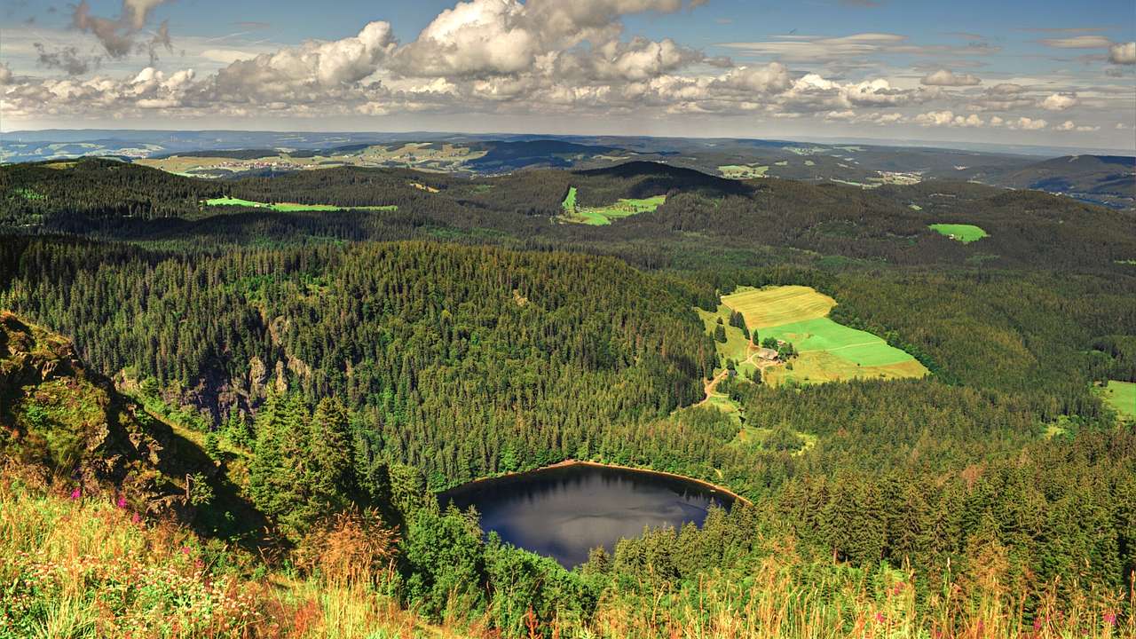 A view over a forest with green trees and a round lake under a cloudy sky