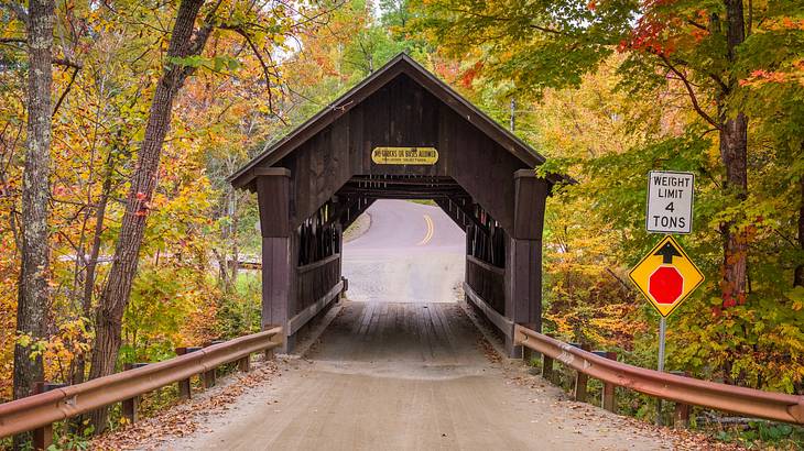 A wood-covered bridge over a road with fall trees surrounding it