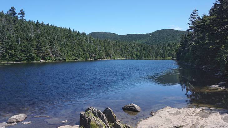 A lake with rocks near the shore surrounded by green trees under a blue sky