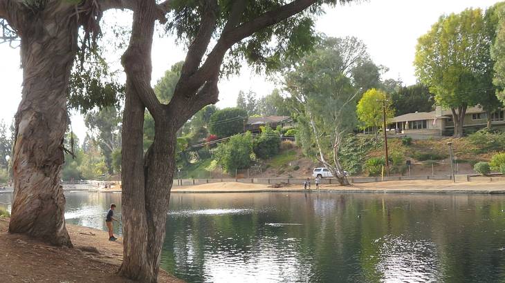 One of the fun things to do in Fullerton, CA, is going to Laguna Lake Park