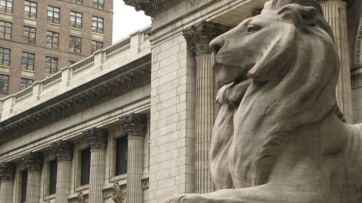 A stone lion outside of the stone New York Public Library in NYC