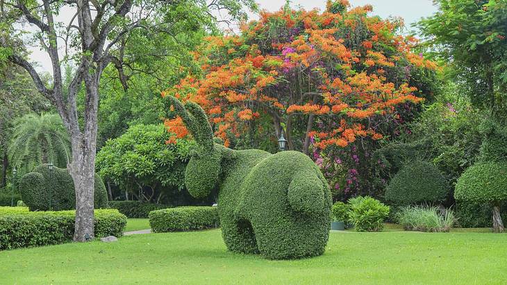 A well-manicured lawn with a green bush shaped like a rabbit A well-manicured lawn with a green bush shaped like a rabbit