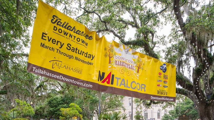 A yellow banner hanging in the trees promoting the Tallahassee Downtown Market