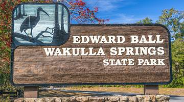 A wooden sign that says "Edward Ball Wakulla Springs State Park" with trees behind