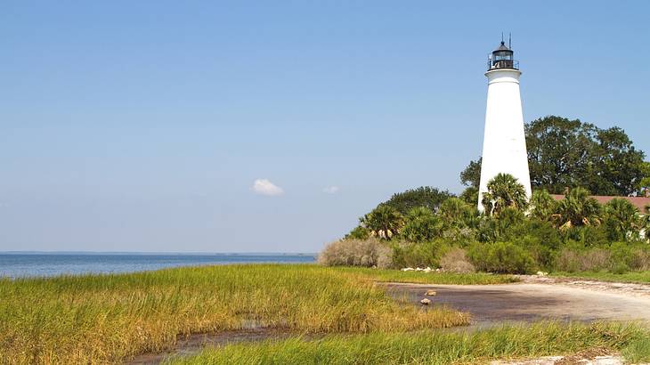 A white lighthouse with a black top next to the grass, trees, and the water