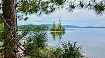A body of water with pine trees around it on a cloudy day