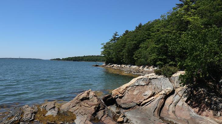 A rocky beach with trees and blue sky and water around