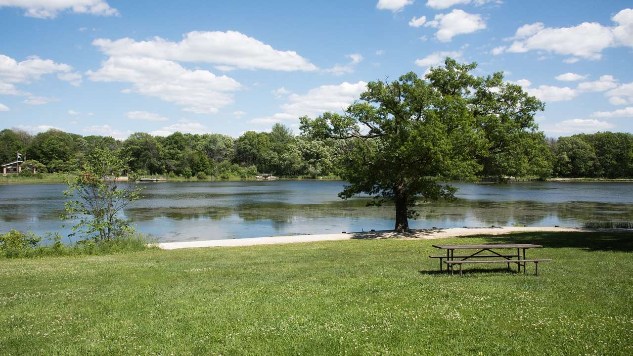 A lake next to trees and grass with a picnic bench on it under a blue sky