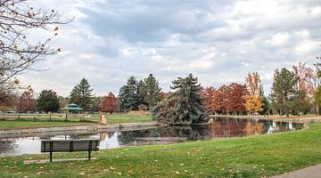A park with a bench on the green grass next to a pond and fall trees