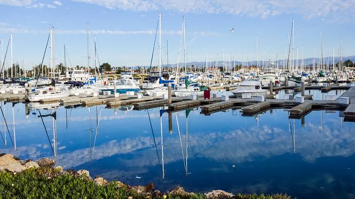 Boats in a harbor next to some greenery under a blue sky with clouds