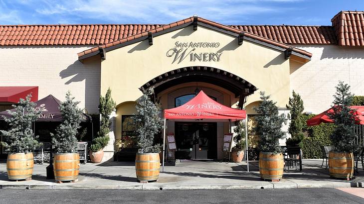 One of the fun things to do in Ontario, California, is going to San Antonio Winery