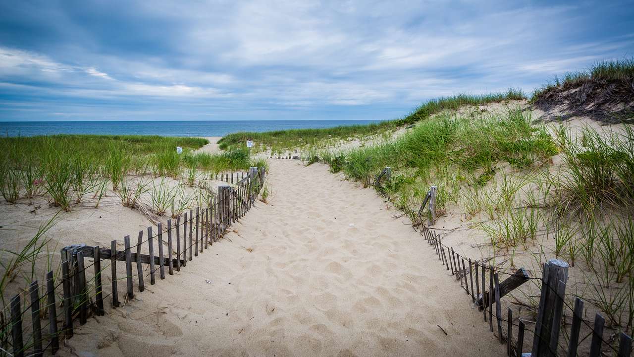 A sandy pathway with grass sprouting on both sides, leading to a body of blue water