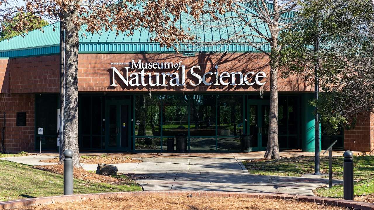 The exterior of a building with a Museum of Natural Science sign