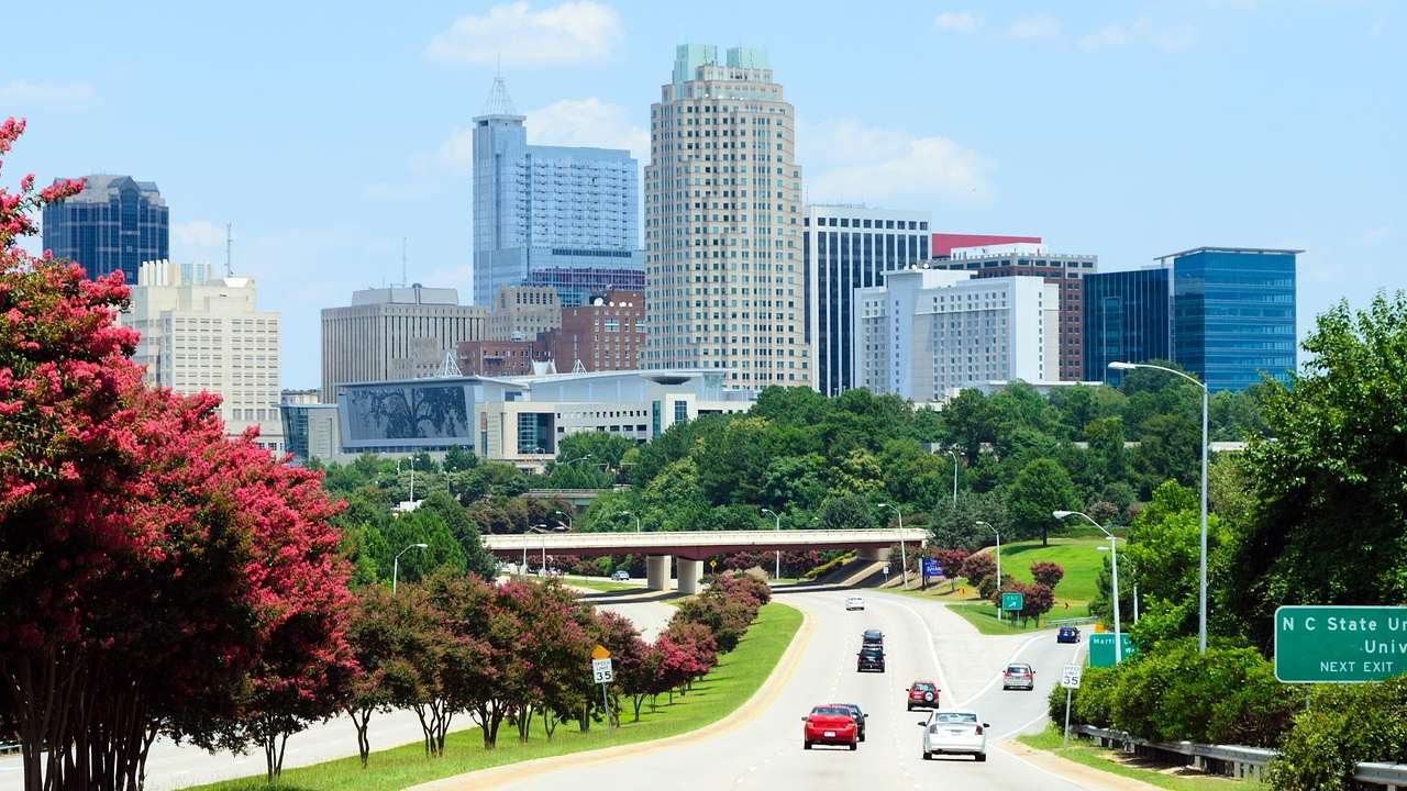 The Raleigh city skyline with a road and trees in front of it under a blue sky