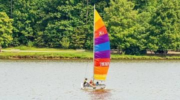A small sailboat with brightly colored sails on a lake next to trees and grass