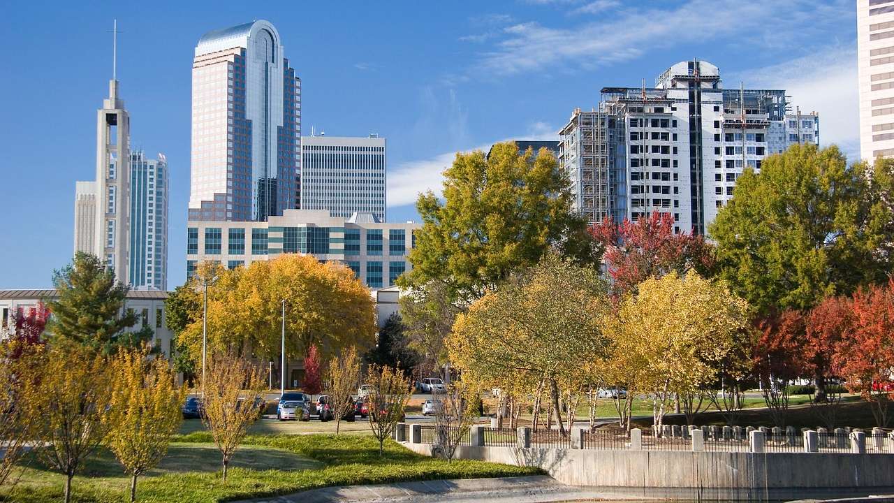 A park with autumn trees next to modern city buildings under a blue sky