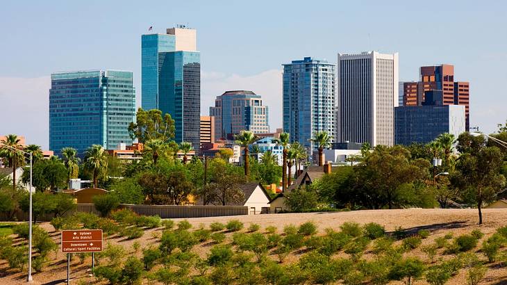 A city skyline with trees and other greenery in front of it on a clear day