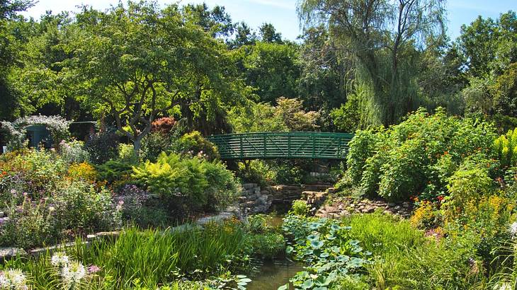 A garden with lots of greenery, a pond, and a green bridge on a clear day
