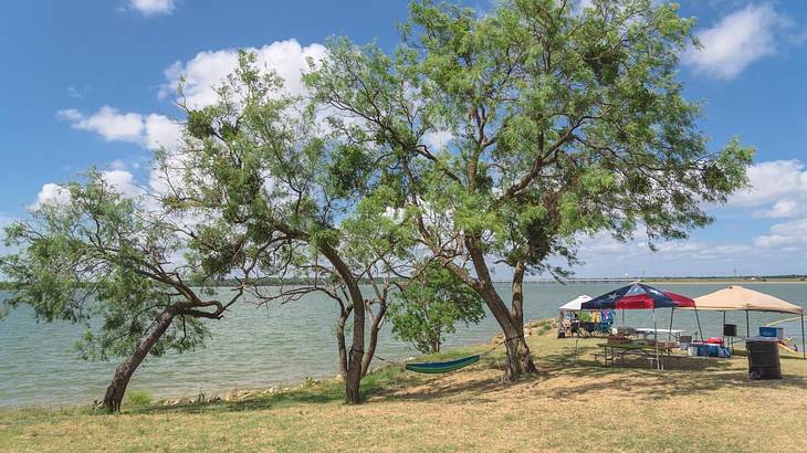 Trees and a picnic area on the grass next to a lake on a sunny day