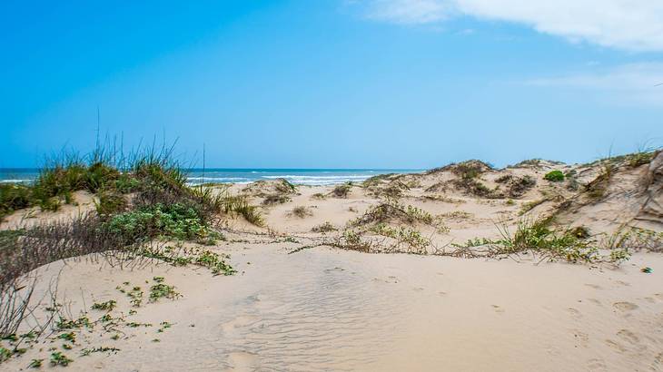Sandy dunes next to the ocean under a clear blue sky Sandy dunes next to the ocean under a clear blue sky